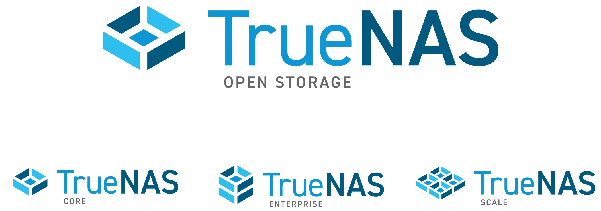 Image of TrueNAS final logo designs
